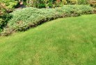 Hillbanklawn-and-turf-31.jpg; ?>